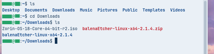 Downloadsディレクトリの中身が表示されたところ