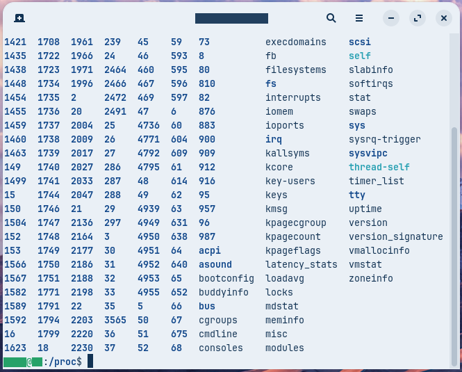 /PROCにlsを実行したところ