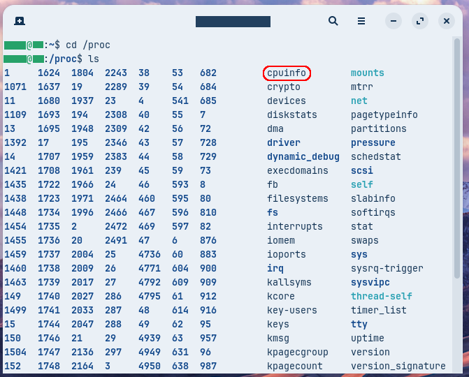 ls実行後に、一画面上にスクロールしたところ