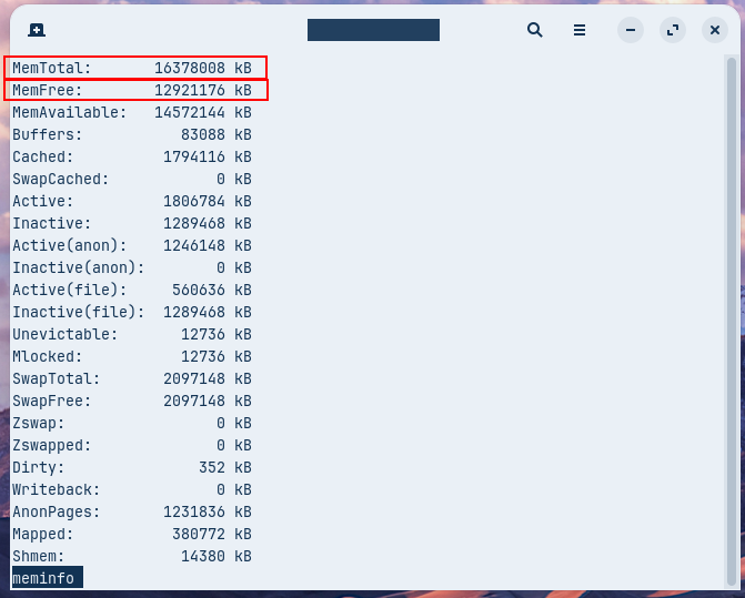 meminfoファイルの中を見ているところ