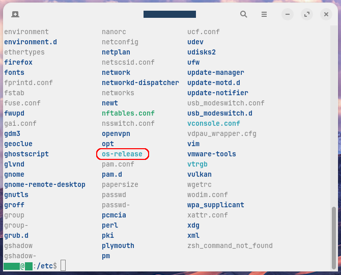 etcディレクトリの中身をみているところ