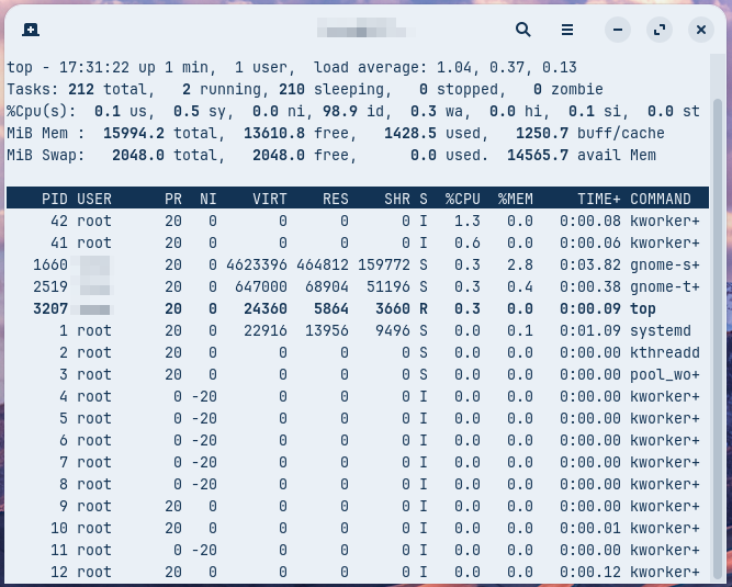 ZorinOSでtopコマンドを実行したところ